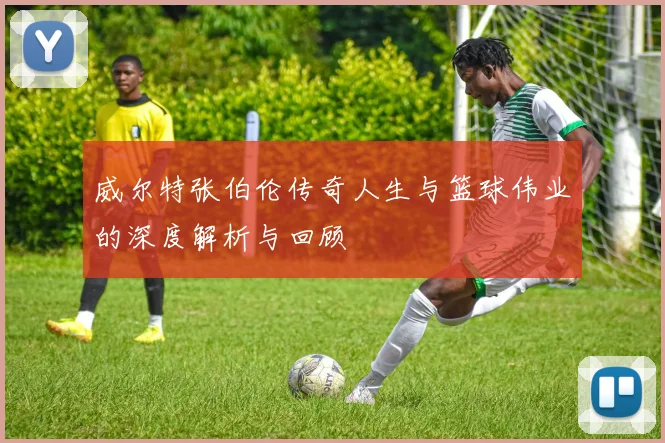 威尔特张伯伦传奇人生与篮球伟业的深度解析与回顾